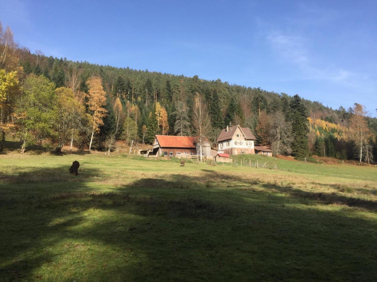 Ferienwohnung Kuckuck Auf Dem Sommerberg Incl Schwarzwaldcard Plus - 2 Zimmer 50Qm Bad Wildbad Exterior photo